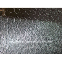 Sechskant- / Chicken Wire Netting (verzinkt)